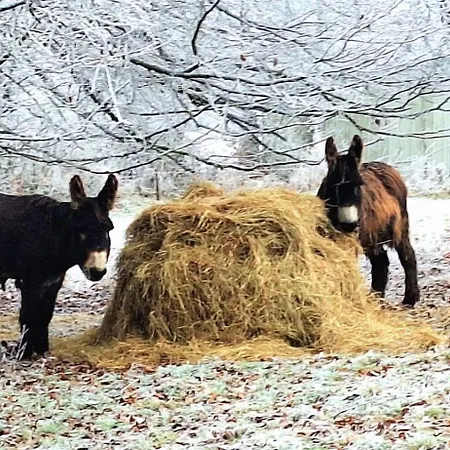 Au Chant D'eole Gasthuis