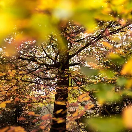 Gasthuis Au Chant D'eole
